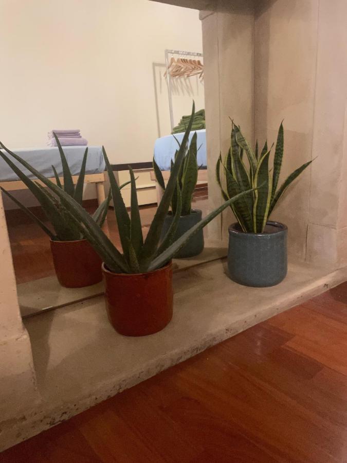 베로나 Loft Ponte Pietra 빌라 외부 사진